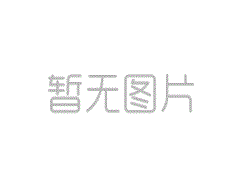政治模拟游戏的乐趣是什